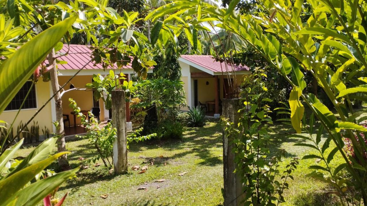 Acacia'S Cottages With Starlink Wifi Мамбахао Екстер'єр фото